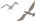 c35732c0fa9c1c3a98cec1008a254d13.png